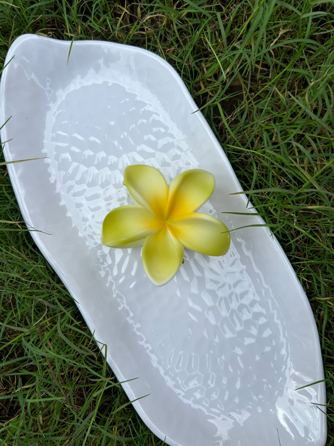 Hawaiian Plumeria Flower matt Hair clutcher