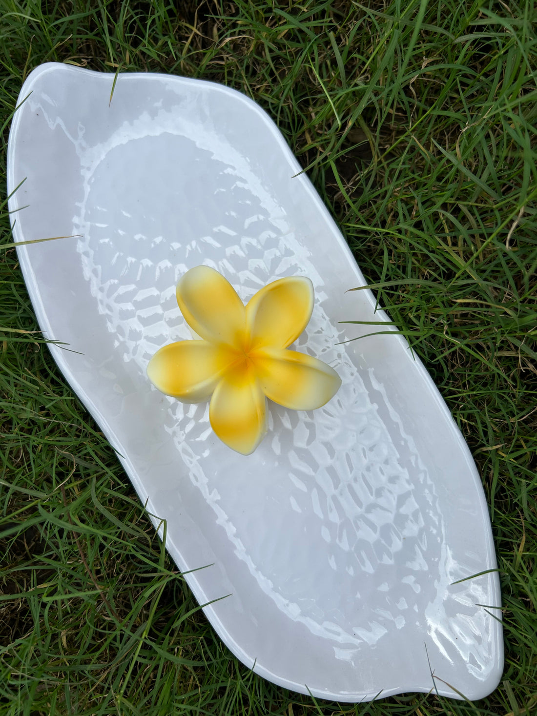 Hawaiian Plumeria Flower matt Hair clutcher